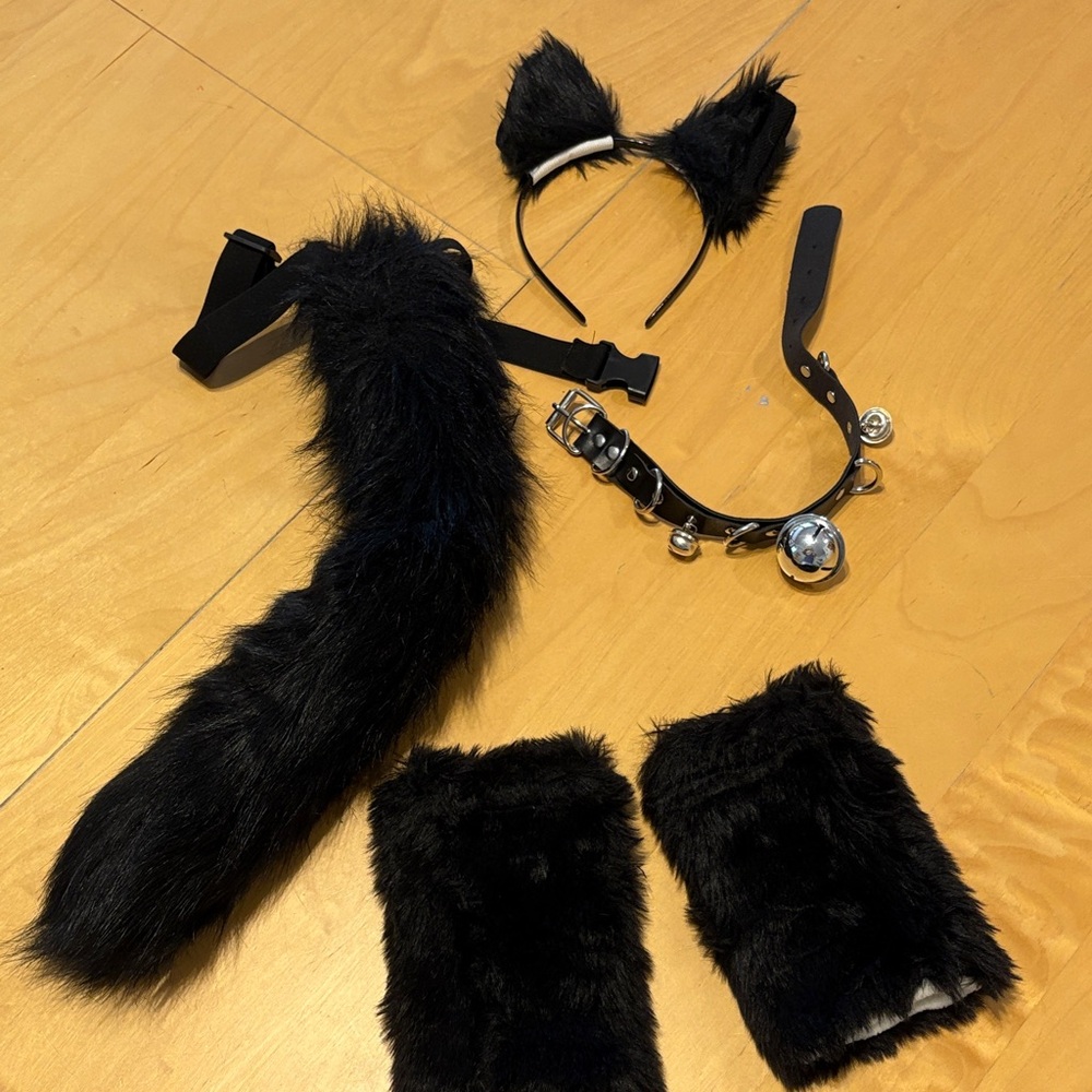 Black Furry Cat Costume Set with Tail and Accessories